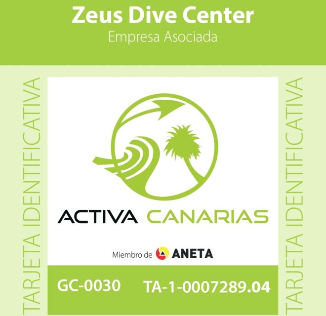 Tenerife: Abades Beach Beginner Diving Experience - Exclusions and Limitations