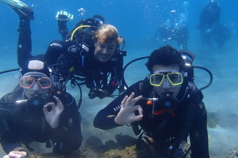 Tenerife: Abades Beach Beginner Diving Experience - Personalized Attention