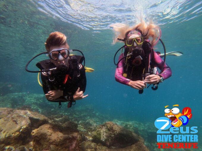 Tenerife: Abades Beach Beginner Diving Experience - Frequently Asked Questions