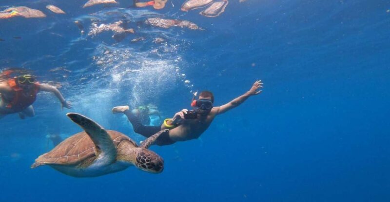 Tenerife: All Inclusive Kayak Safari With Snorkeling - Itinerary and Experience