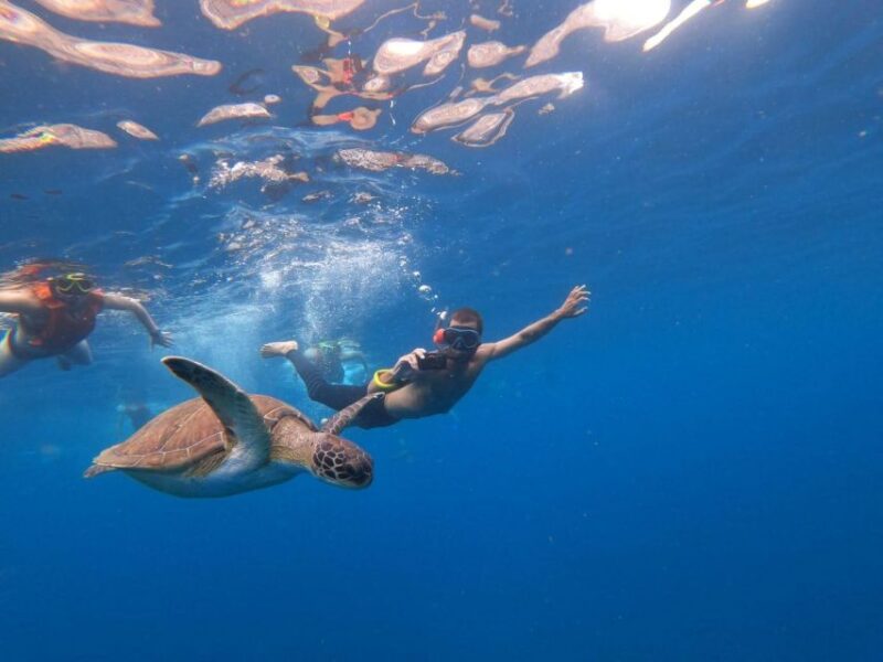 Tenerife: All Inclusive Kayak Safari With Snorkeling - Inclusions and Equipment