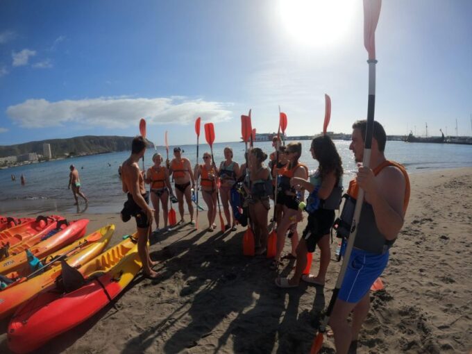 Tenerife: All Inclusive Kayak Safari With Snorkeling - Scenic Highlights of the Tour
