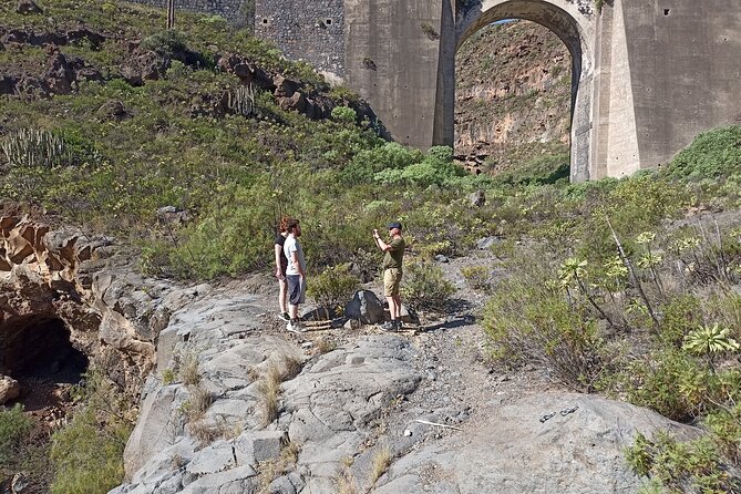 Tenerife Alternative Tour. Candelaria, Abades, Güímar - Transportation and Logistics