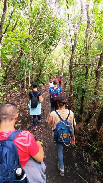 Tenerife: Anaga, Magical Forest - FAQ