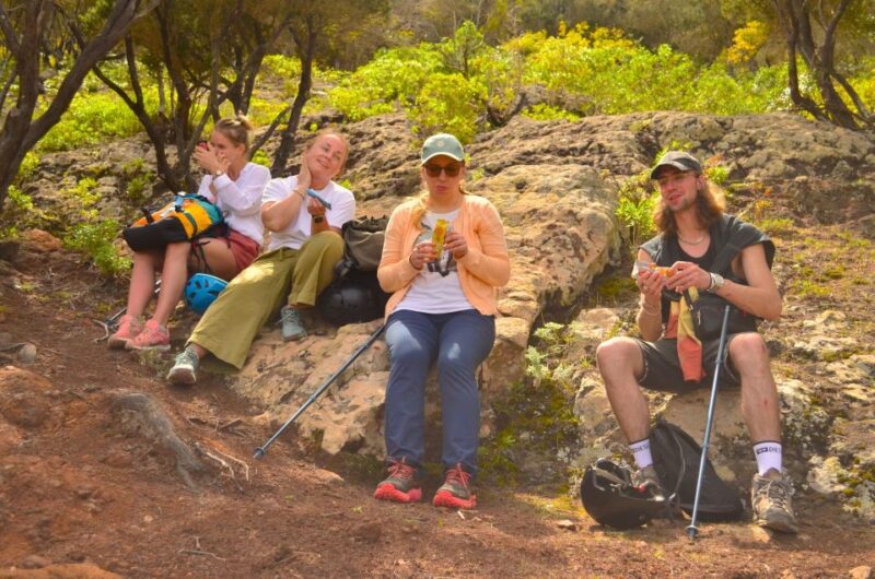 Tenerife: Anaga Mountains and Laurel Forest Hiking Tour - Key Points