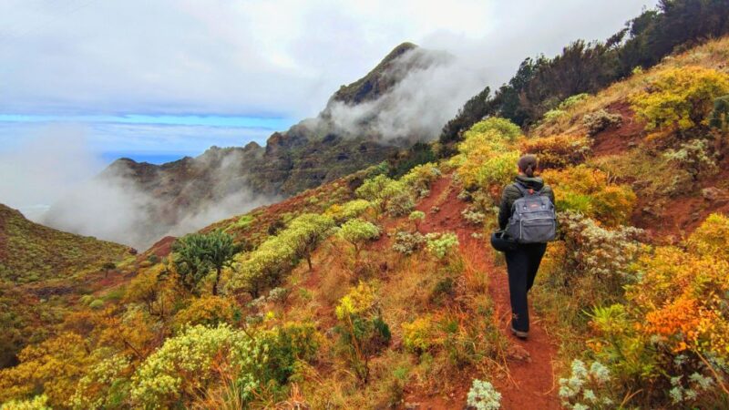 Tenerife: Anaga Mountains and Laurel Forest Hiking Tour - Pickup and Drop-off Locations