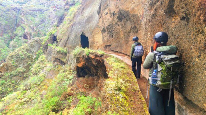 Tenerife: Anaga Mountains and Laurel Forest Hiking Tour - Journey Through Enchanted Forests