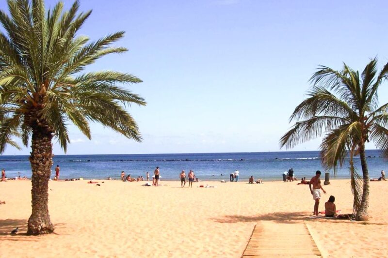 Tenerife: Anaga UNESCO VIP Tour - Key Points