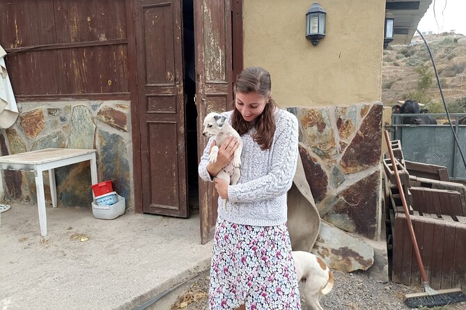 Tenerife Animal Farm Private Car Tour. Canarian Cheese and Wine - Inclusions