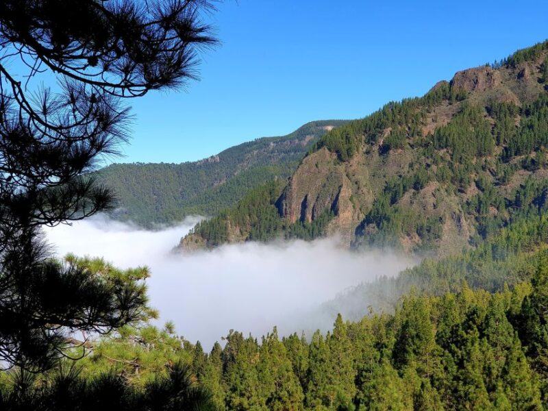 Tenerife: Barranco De Los Arcos - Canyoning in Tenerife - Meeting Time and Trail