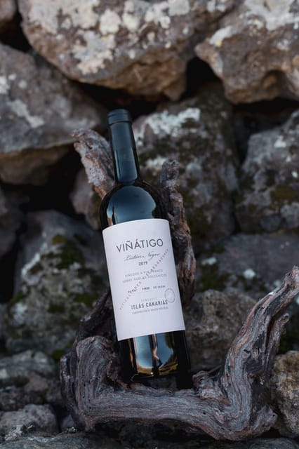 Tenerife: Bodega Viñatigo - Commented Tasting of 6 Wines - Winerys Architectural Design