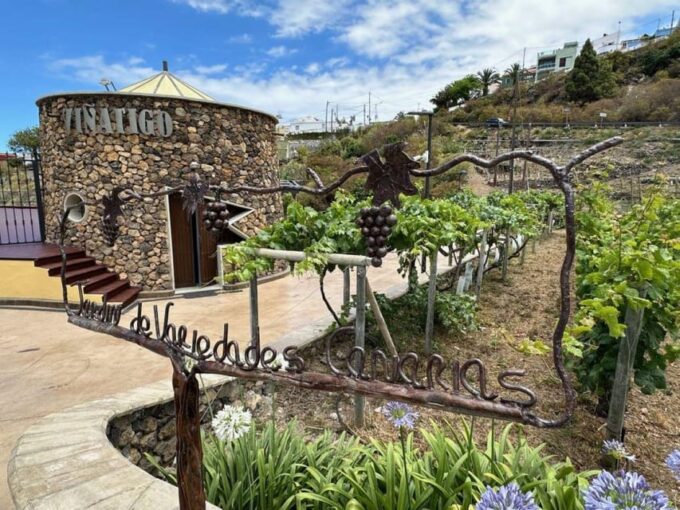 Tenerife: Bodega Viñatigo - Commented Tasting of 6 Wines - Learning Tenerifes Winemaking History