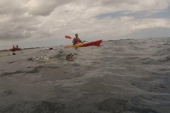 Tenerife by Kayak and Snorkeling Adventure in Small Group - Provided Equipment