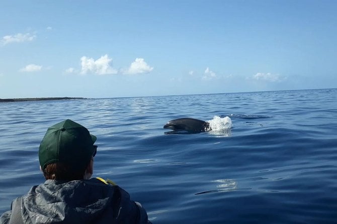 Tenerife by Kayak and Snorkeling Adventure in Small Group - Meeting and Pickup