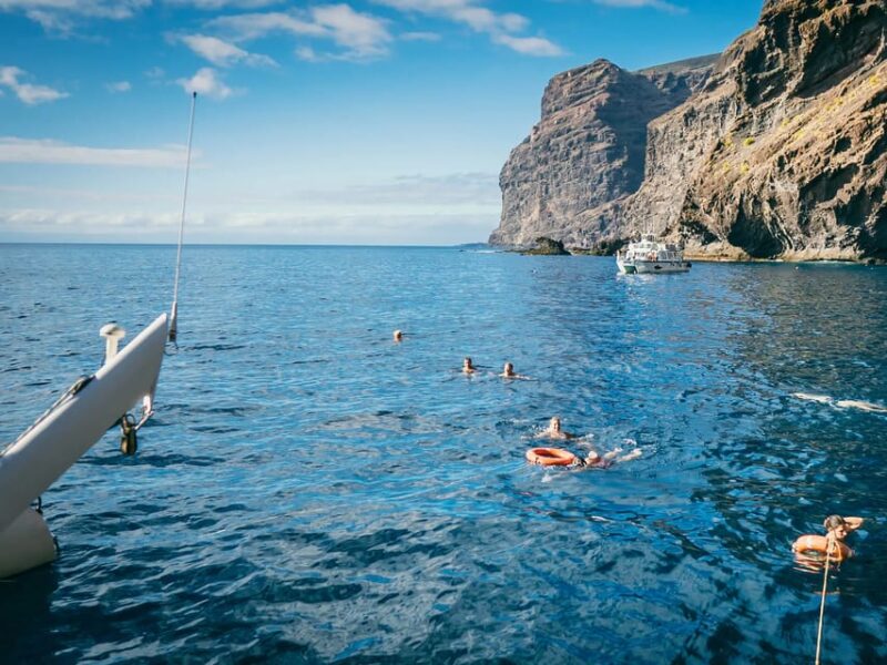 Tenerife: Catamaran Cruise With an Open Bar - Highlights of the Cruise