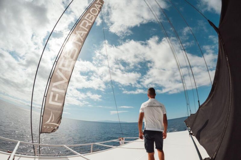 Tenerife: Catamaran Cruise With Brunch and Unlimited Drinks - Inclusions and Exclusions