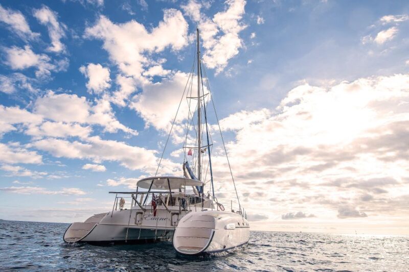 Tenerife: Catamaran Sailing Trip With Snorkeling and Lunch - Key Points