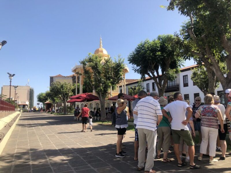 Tenerife: Complete Island Tour With Masca - Included and Amenities