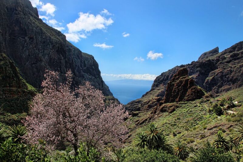 Tenerife: Complete Island Tour With Masca - Explore Candelaria