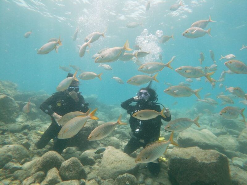Tenerife: Costa Adeje Private Diving Lesson Experience - Key Points