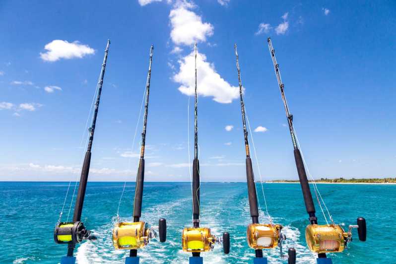 Tenerife: Deep Sea Fishing Private Charter - Key Points