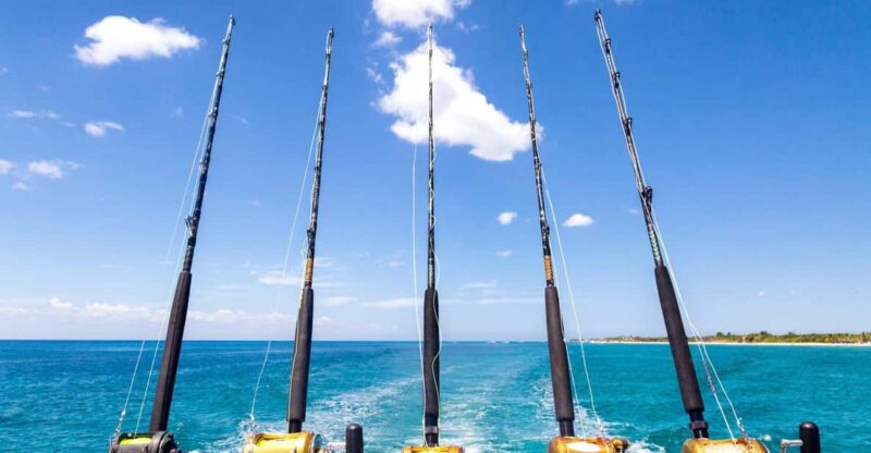 Tenerife: Deep Sea Fishing Private Charter - Marine Life and Environment