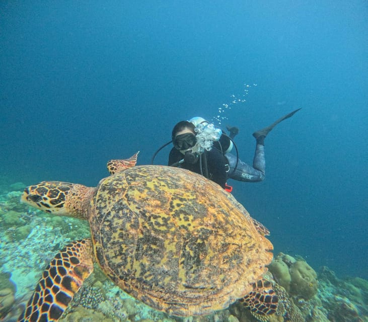 Tenerife - Discover Scuba Diving Experience With Instructor - Key Points