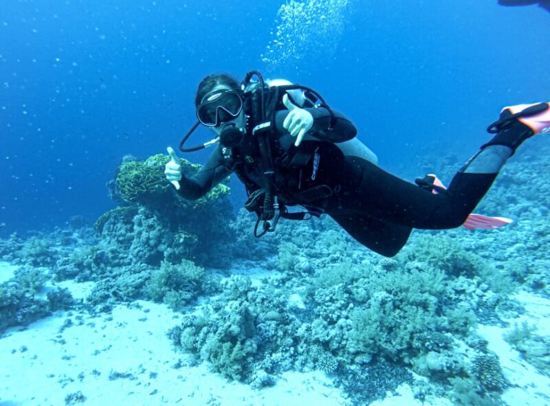 Tenerife - Discover Scuba Diving Experience With Instructor - Location and Accessibility
