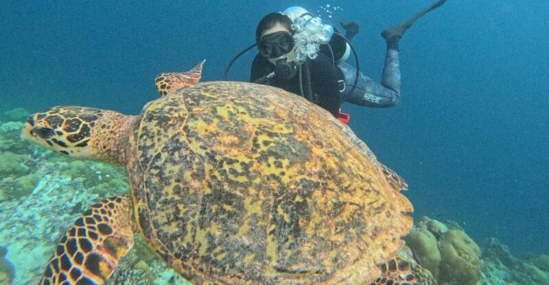 Tenerife - Discover Scuba Diving Experience With Instructor - Frequently Asked Questions