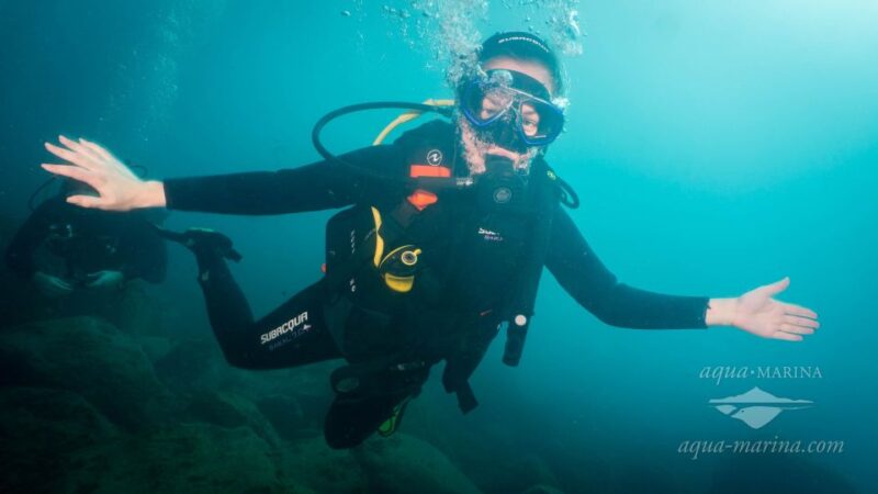 Tenerife; Discover Scuba Diving Pool and Boat Max 2 Students - Key Points