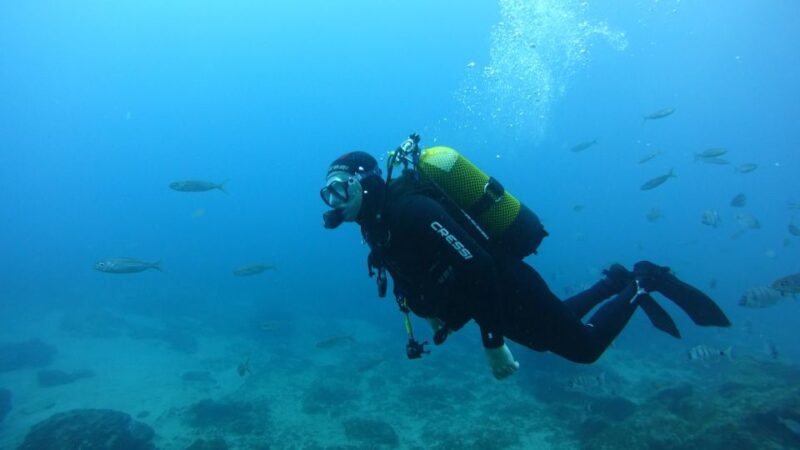 Tenerife: Discover Scuba Diving With Free Photos - Pricing and Booking Details