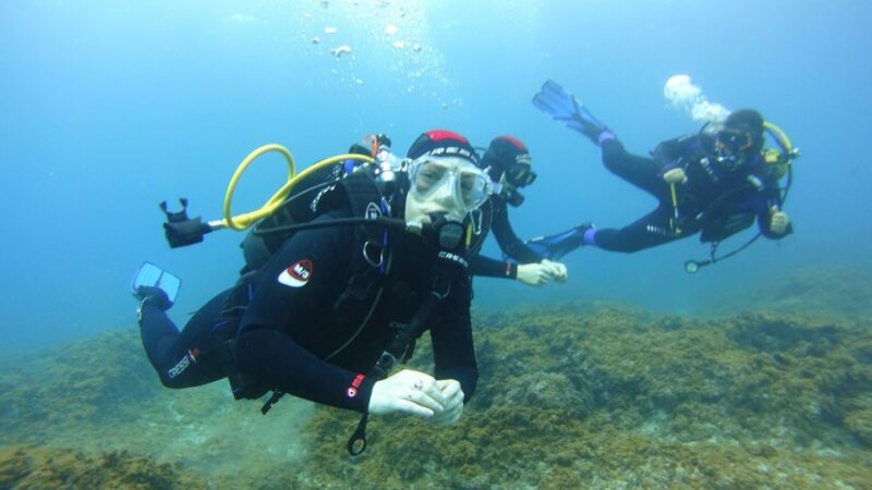 Tenerife: Discover Scuba Diving With Free Photos - Unique Marine Life Encounters