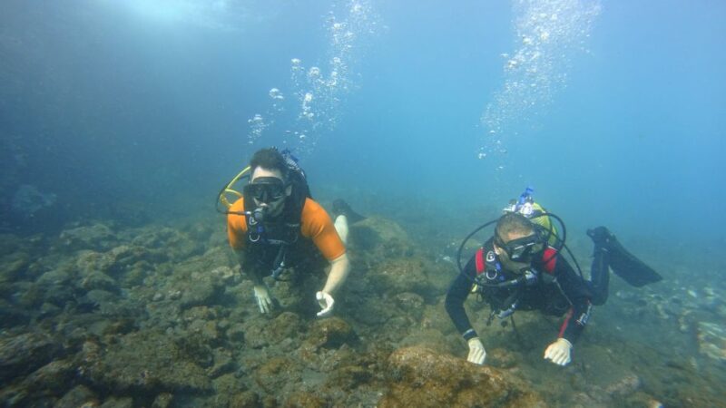Tenerife: Discover Scuba Diving With Free Photos - Certified Instructor-Led Diving Experience