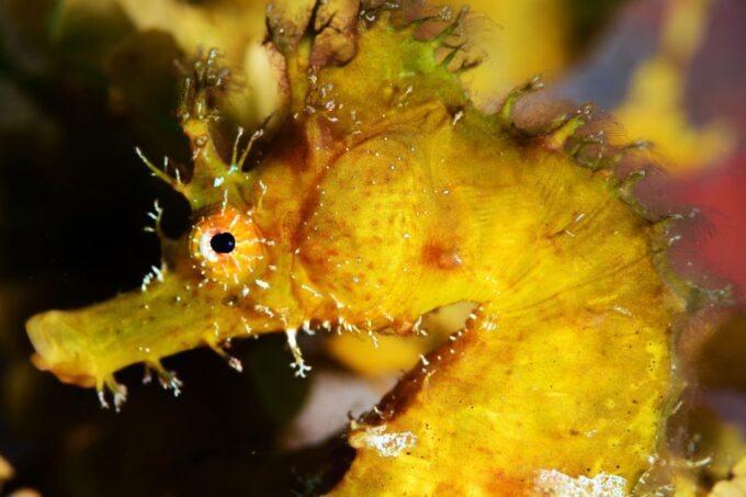 Tenerife: Discover Scuba Diving With Free Photos - Preparing for Post-Dive Activities