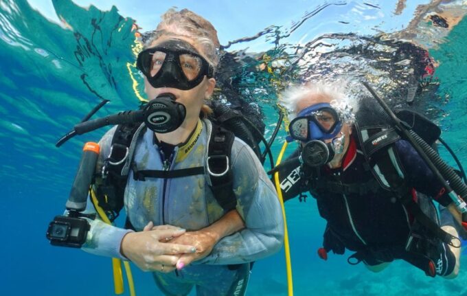 Tenerife : Diving License in One Day - Logistics and Transportation