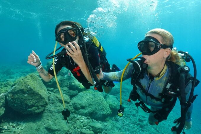 Tenerife : Diving License in One Day - Booking and Cancellation