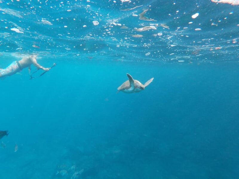 Tenerife: Double Kayak Rental in Palm Mar - Included Equipment and Safety