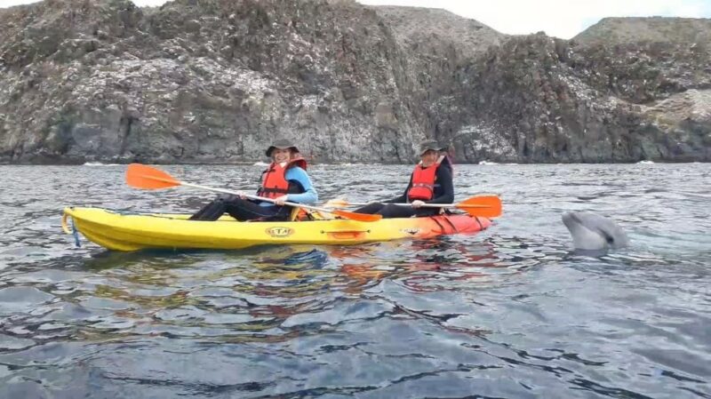 Tenerife Exclusive Small Group Kayaking Tour With Snorkeling - Key Points
