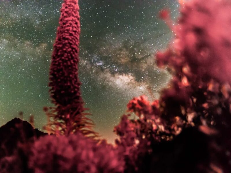 Tenerife: Explore the Universe - Teide Telescope Experience - Highlights of the Teide Telescope Experience