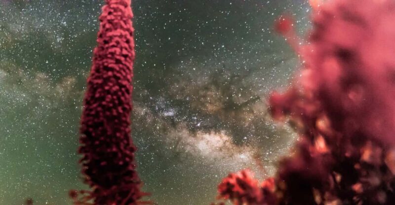 Tenerife: Explore the Universe - Teide Telescope Experience - Inclusion and Requirements