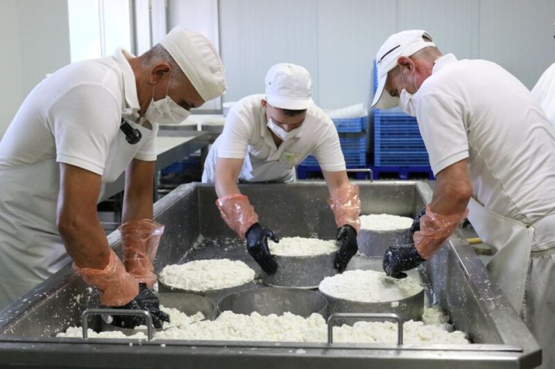 Tenerife - Farm Tour With Cheese Tasting - Group Size and Languages
