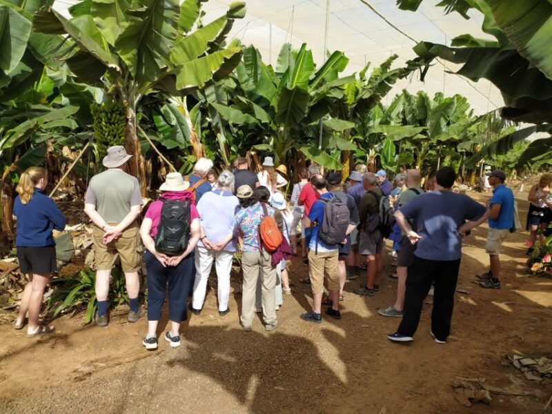 Tenerife: Finca Las Margaritas Banana Plantation Experience - Frequently Asked Questions