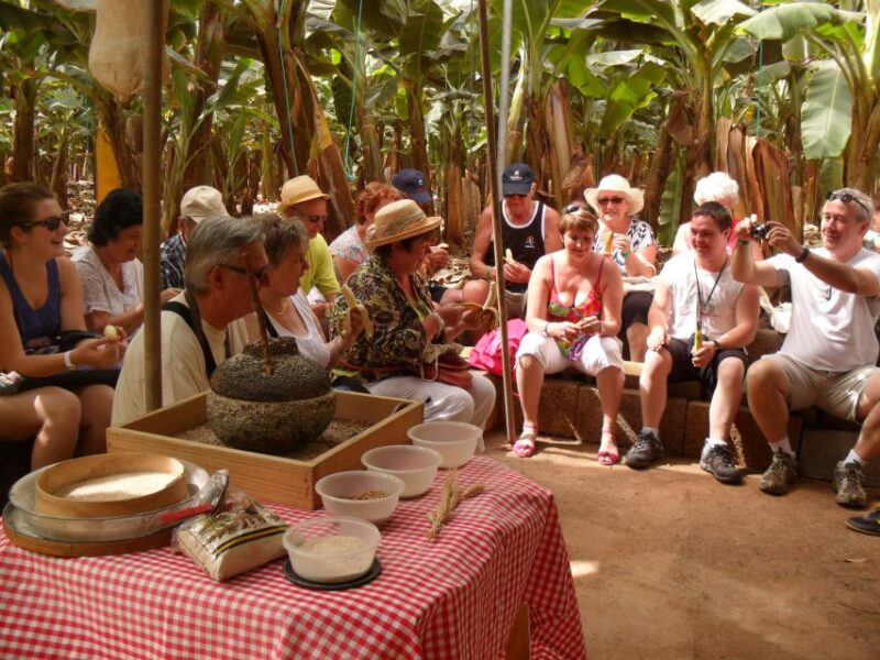 Tenerife: Finca Las Margaritas Banana Plantation Experience - Accessibility and Parking Details