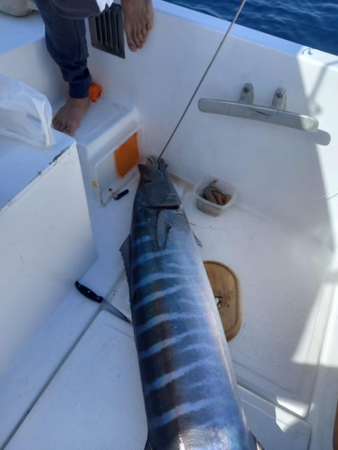 Tenerife: Fishing Boat Trip - Inclusions