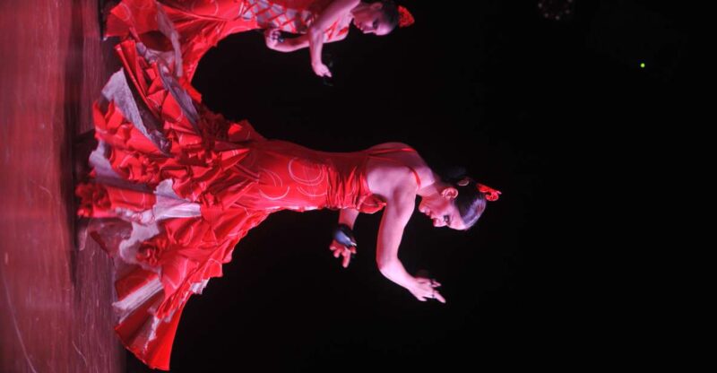 Tenerife: Flamenco Performance at Teatro Coliseo - Ticketing and Pricing