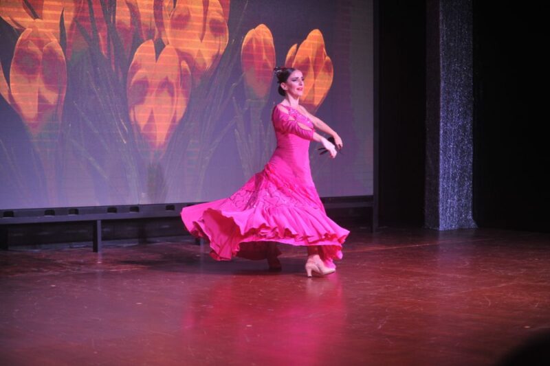Tenerife: Flamenco Performance at Teatro Coliseo - Venue and Location