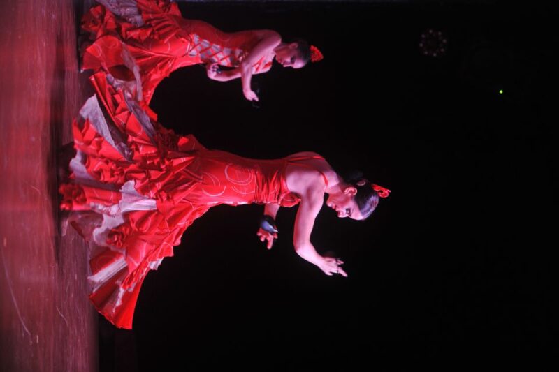 Tenerife: Flamenco Performance at Teatro Coliseo - Languages Offered and Accessibility