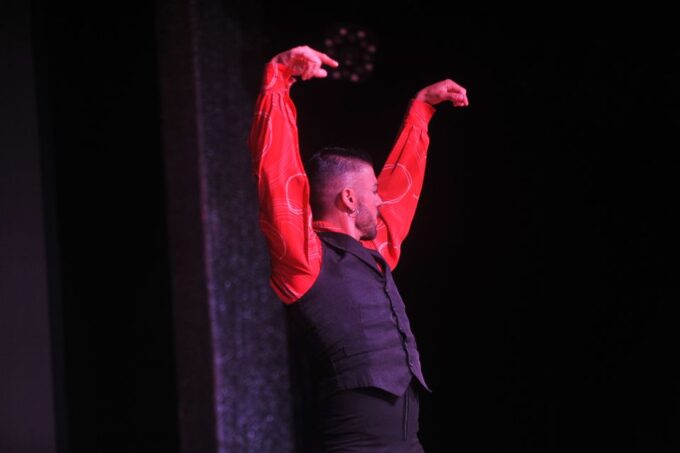 Tenerife: Flamenco Performance at Teatro Coliseo - Vibrant Atmosphere and Drinks