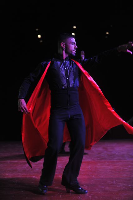 Tenerife: Flamenco Performance at Teatro Coliseo - Iconic Spanish Dances