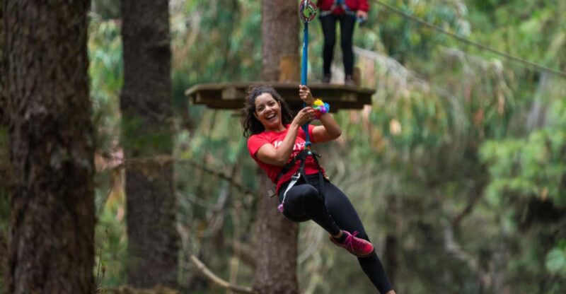 Tenerife: Forestal Park Tenerife Entry Ticket - Key Points